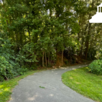 greenway flanked by lawn and trees