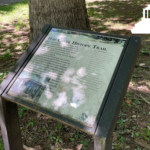 interpretive sign at start of haw creek history trail