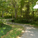 greenway in forest