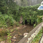 culvert in reed creek greenway