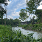 swannanoa river