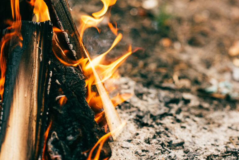 up close image of fire in forest