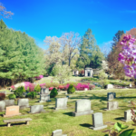 A view on riverside cemetery on a bright sunny day.