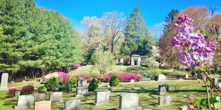 A view on riverside cemetery on a bright sunny day.