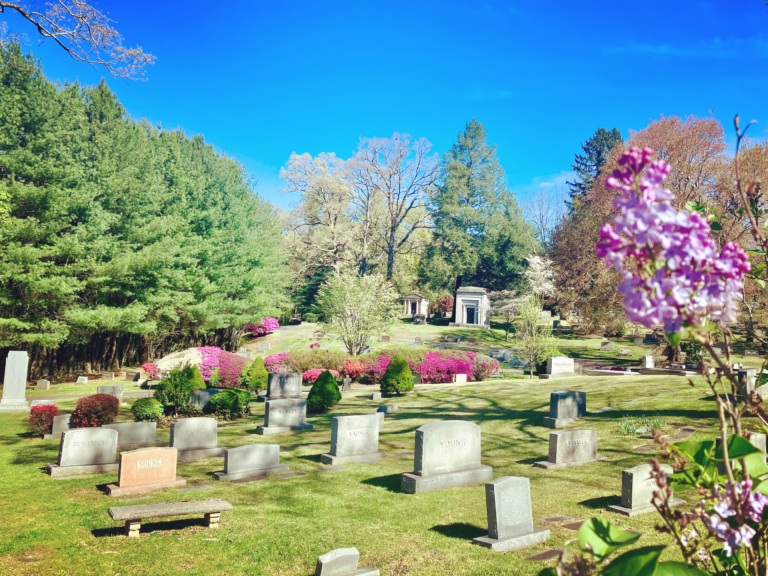 A view on riverside cemetery on a bright sunny day.