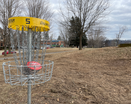 Hole #5 disc golf