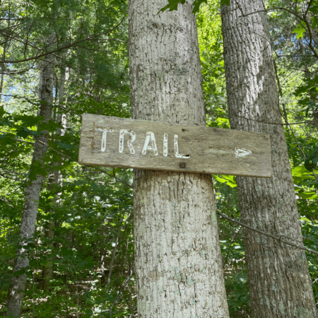 sign posted on tree with trail and arrow