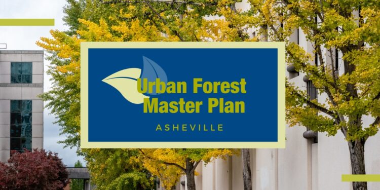 Urban Forest Master Plan asheville text superimposed over photo of trees in dpowntown