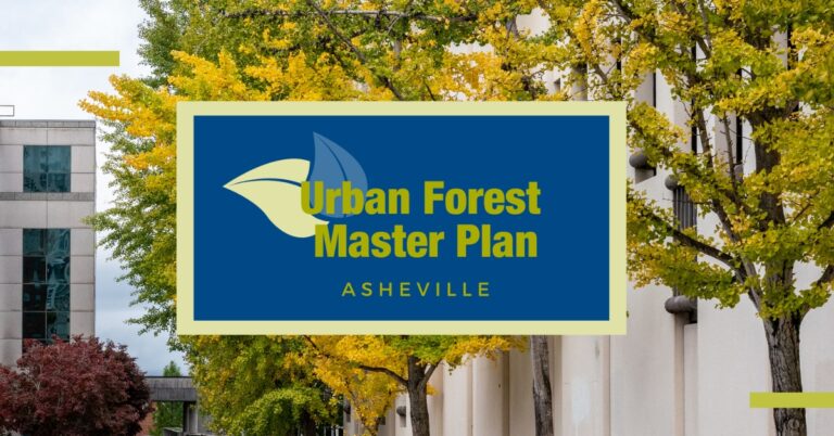 Urban Forest Master Plan asheville text superimposed over photo of trees in dpowntown