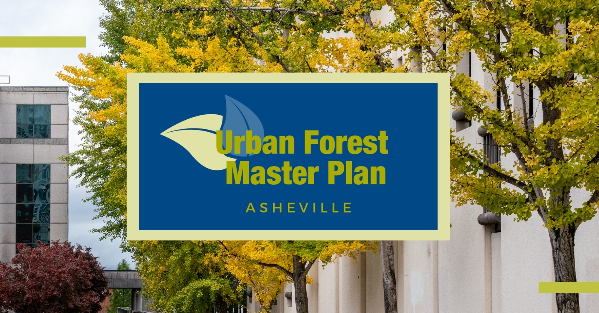 City of Asheville launches engagement survey for Urban Forest Master Plan – The City of Asheville (.gov)