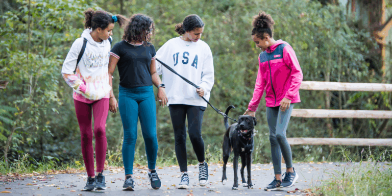 four young girls walk with a black dog on a paved path