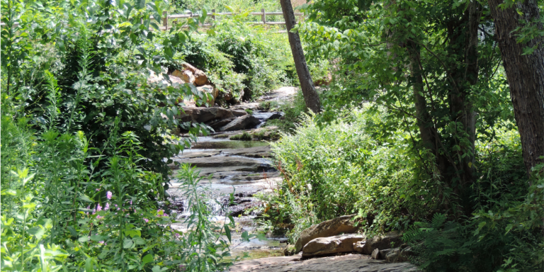 terraced rocks in reed creek along greenway