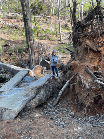 Tracy Wyman stands beside a very large downed tree after Hurricane Helene