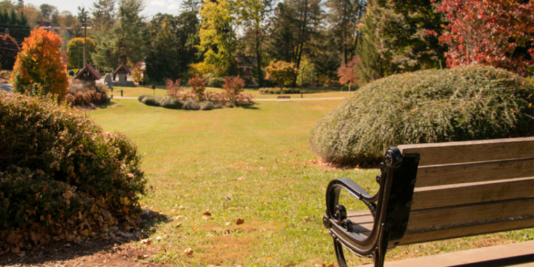 panoramic view of park with a bench in the foreground