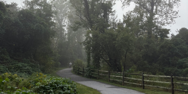 bike rider on a foggy greenway